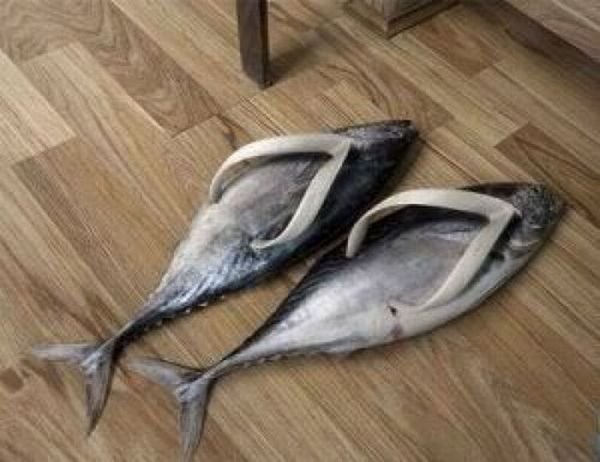 funny slippers