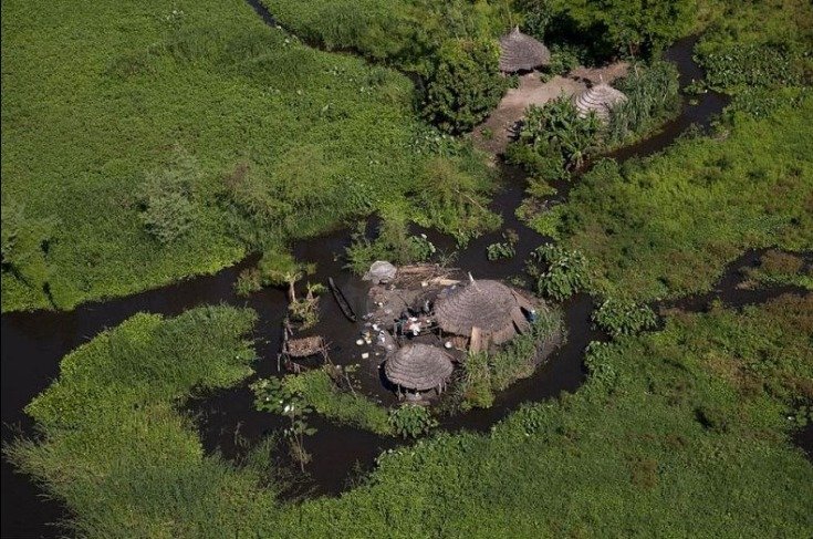 sudd sudan 3255b6255d Amazon River floodplain   swamp