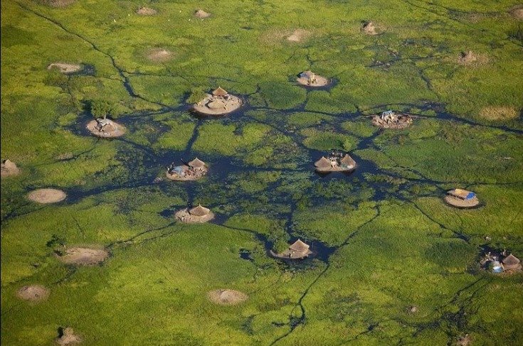 sudd sudan 6255b13255d Amazon River floodplain   swamp