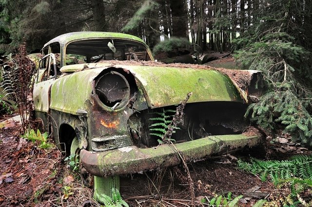old cars abandoned