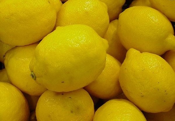 Lemon Fruit Beautiful Yellow Pictures