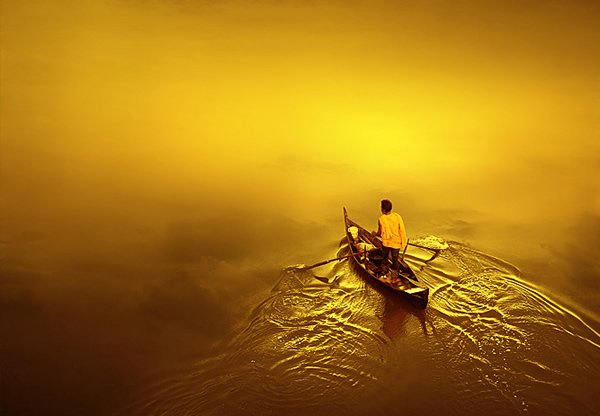 yellow color photography 11 Beautiful Yellow Pictures