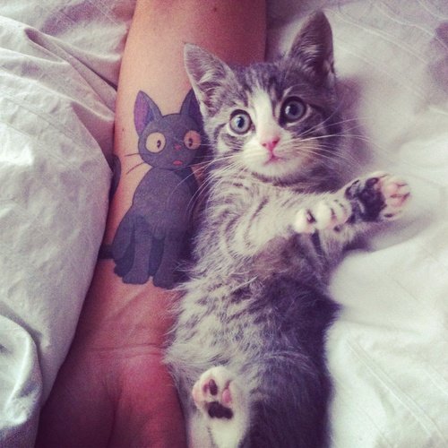 Beautiful Cat Tattoos (5)