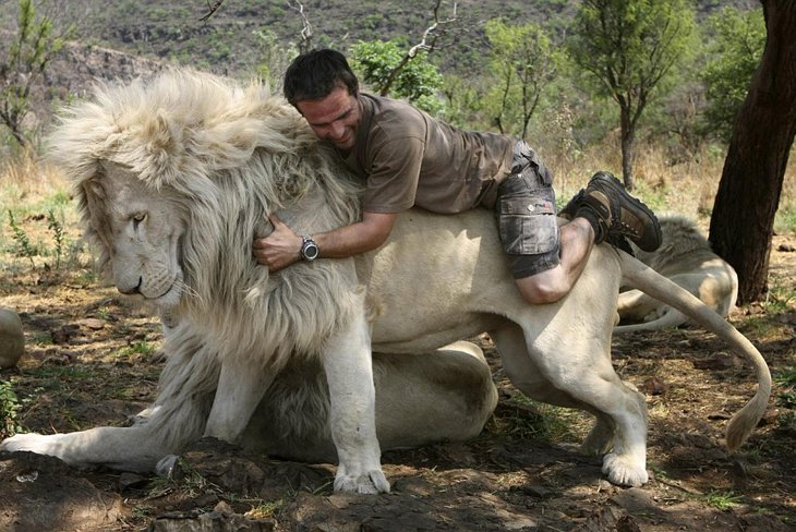 Kevin Richardson, The Lion Whisperer (30)