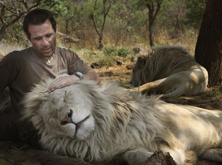 Kevin Richardson, The Lion Whisperer (29)