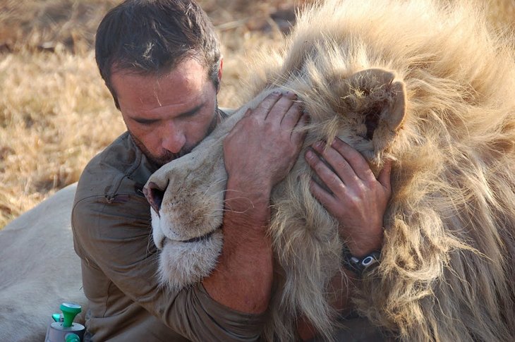 Kevin Richardson, The Lion Whisperer (4)