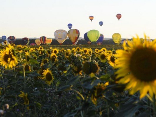 40 beautiful Photography air balloon festival (26)