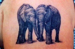 Elephant-Couple-Tattoo-Design