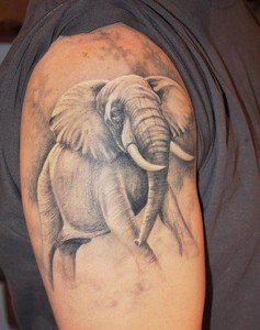 Healthy-Elephant-Tattoo-Design-on-Shoulder
