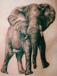 Walking-Elephant-Tattoo-Image