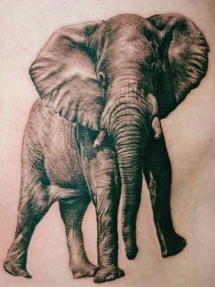 35 Elephant Tattoo Designs (2)