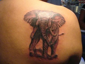 Wild-Elephant-Tattoo-for-Back-Shoulder