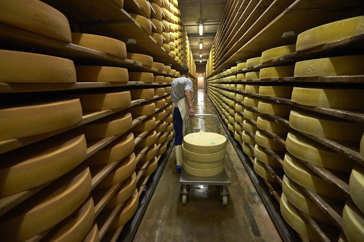 Make Swiss cheesemakers (6)