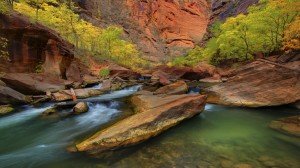 canyon-stream-in-zion-national-park-252183