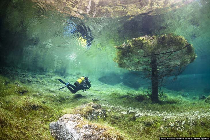 Austria's spectacular underwater world (9)