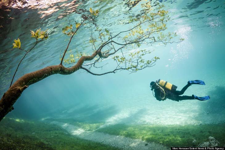 Austria's spectacular underwater world (7)