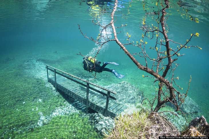 Austria's spectacular underwater world (6)