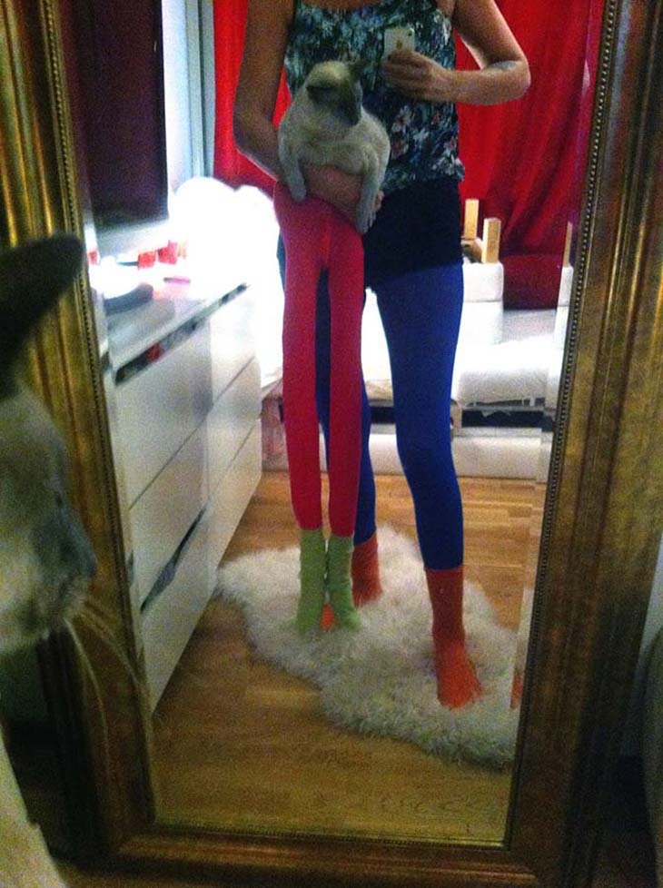 Cats wearing tights are way funnier than dogs wearing tights (12)