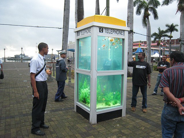 Phone Booths Converted into Outdoor Fish Aquariums (6)