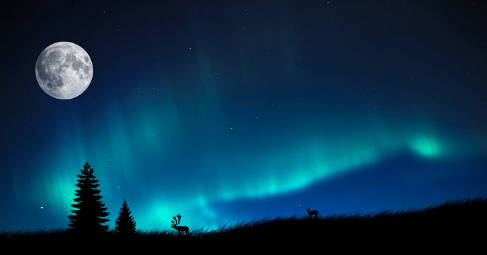 Auroras – Light of the night (10)
