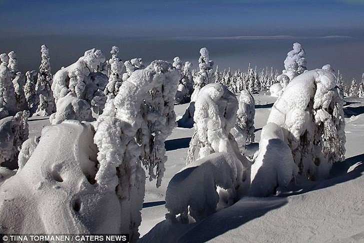 10 fascinating photo from Finland (3)