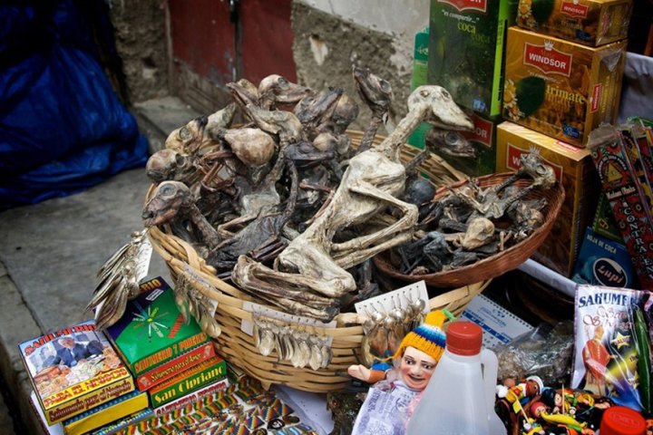  African Voodoo Market