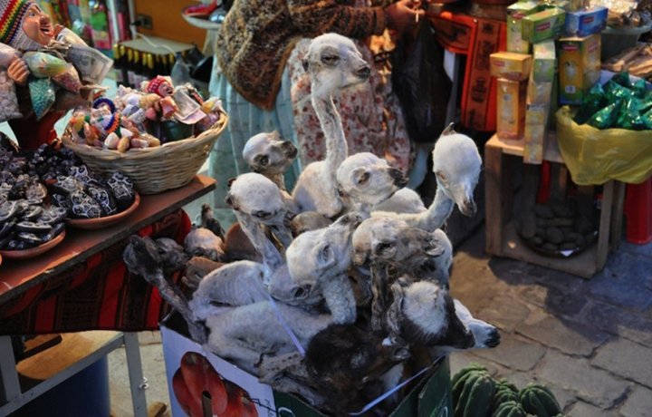  African Voodoo Market