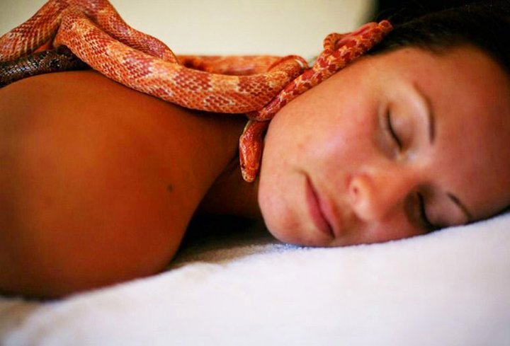 Massage By Snakes Treatment (12)