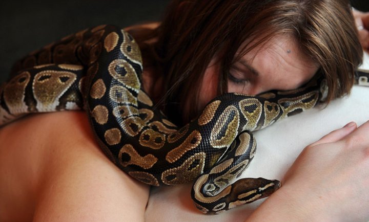 Massage By Snakes Treatment (7)