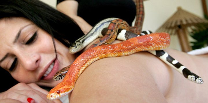 Massage By Snakes Treatment (1)