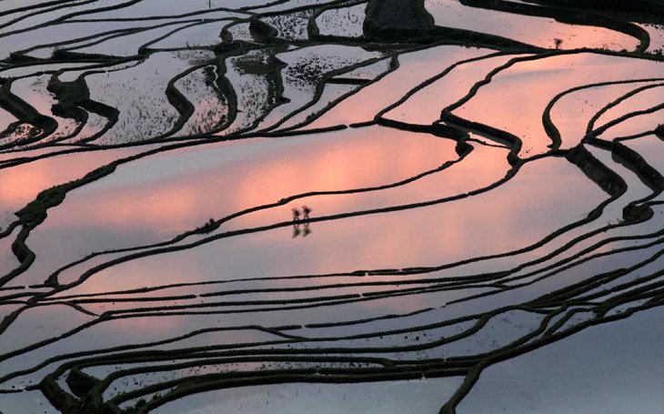 World's Largest Terraced Paddy Fields, Yuen Yang, China (9)