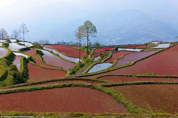 World's Largest Terraced Paddy Fields, Yuen Yang, China (6)