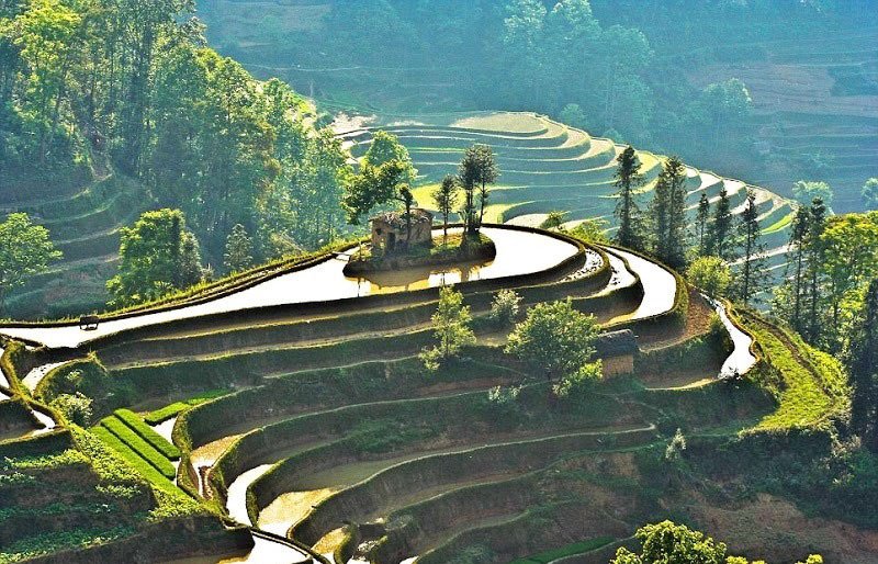 World's Largest Terraced Paddy Fields, Yuen Yang, China (3)