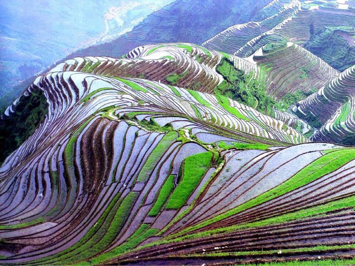 World's Largest Terraced Paddy Fields, Yuen Yang, China (2)