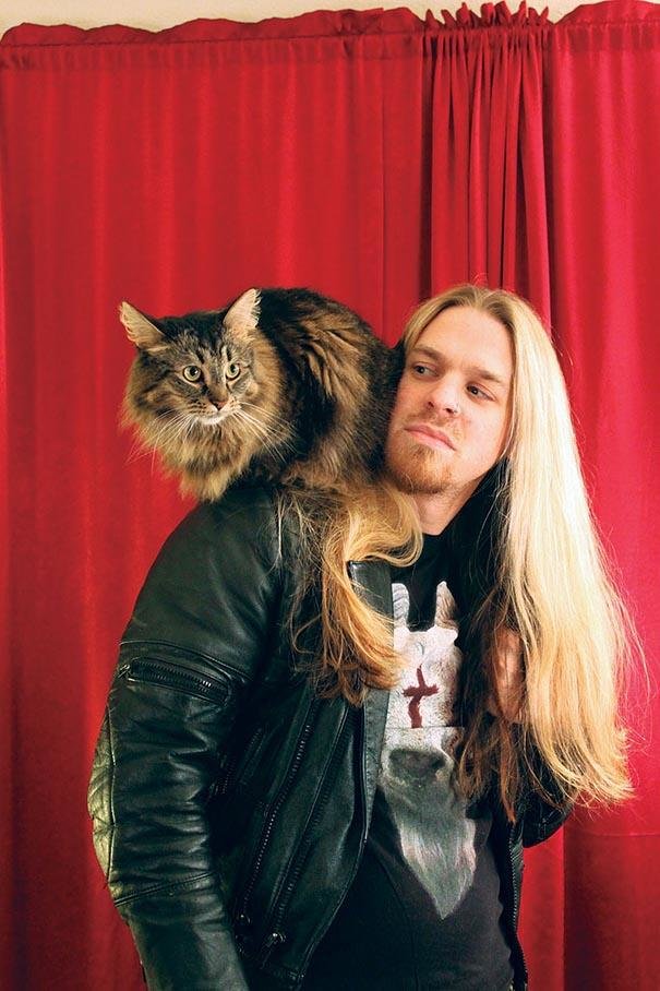 Cute Cats & the Metalheads that Love Them (9)