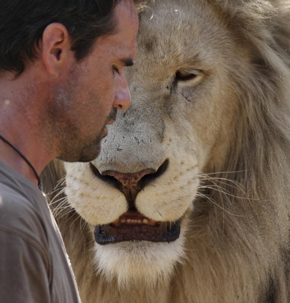 Kevin Richardson, The Lion Whisperer (26)