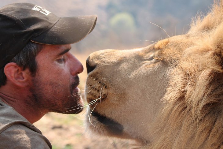 Kevin Richardson, The Lion Whisperer (1)