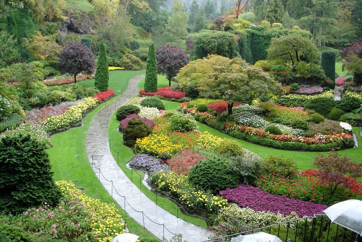 World Largest Flower Garden - Netherlands (3)