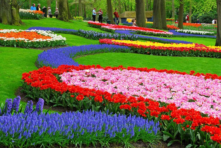 World Largest Flower Garden - Netherlands (1)