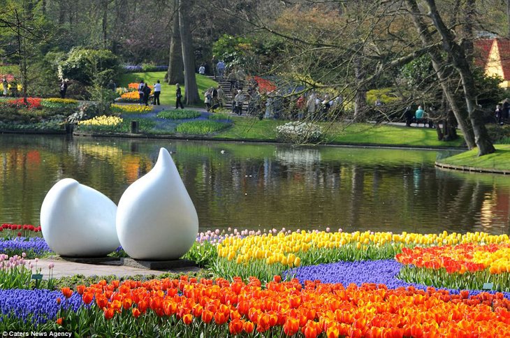 World Largest Flower Garden - Netherlands (14)