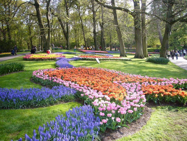 World Largest Flower Garden - Netherlands (5)