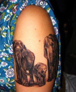 Elephant-Family-Tattoo-Design-for-Shoulder