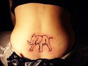 Sick-Elephant-Lower-Back-Tattoo
