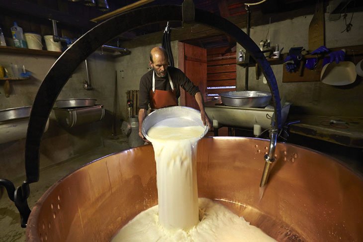 Make Swiss cheesemakers (15)
