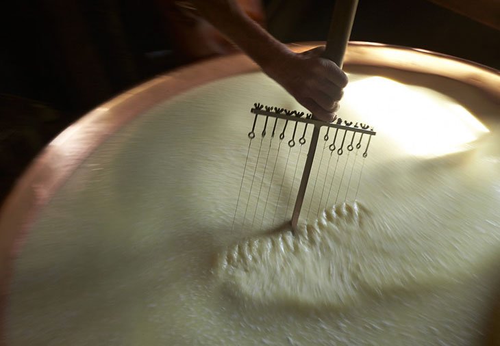 Make Swiss cheesemakers (14)