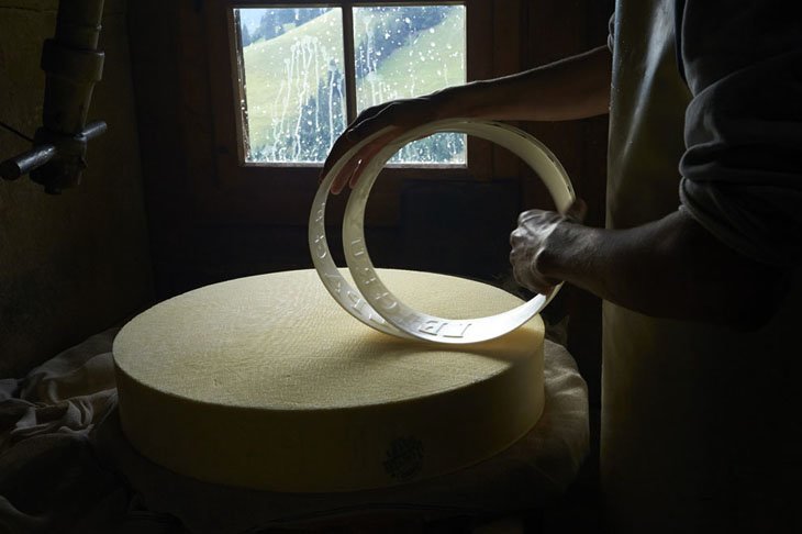 Make Swiss cheesemakers (10)