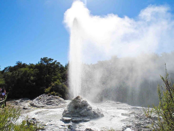 The hottest wonders of New Zealand (20)