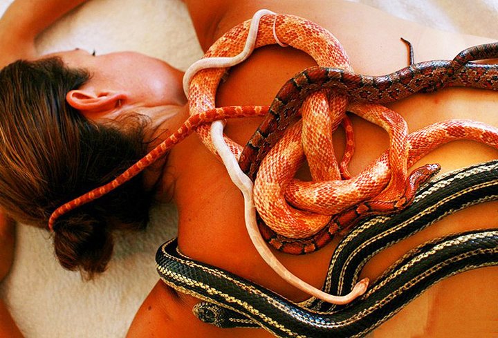 Massage By Snakes Treatment (5)