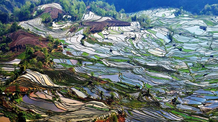 World's Largest Terraced Paddy Fields, Yuen Yang, China (8)