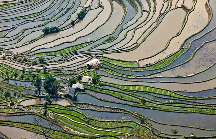 World's Largest Terraced Paddy Fields, Yuen Yang, China (4)